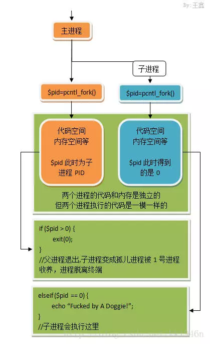 冷暖自知一抹茶ck