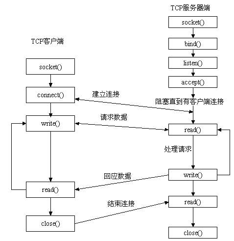 冷暖自知一抹茶ck